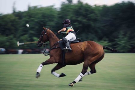 Sports performance coaching-Principles to put you at the top of your game