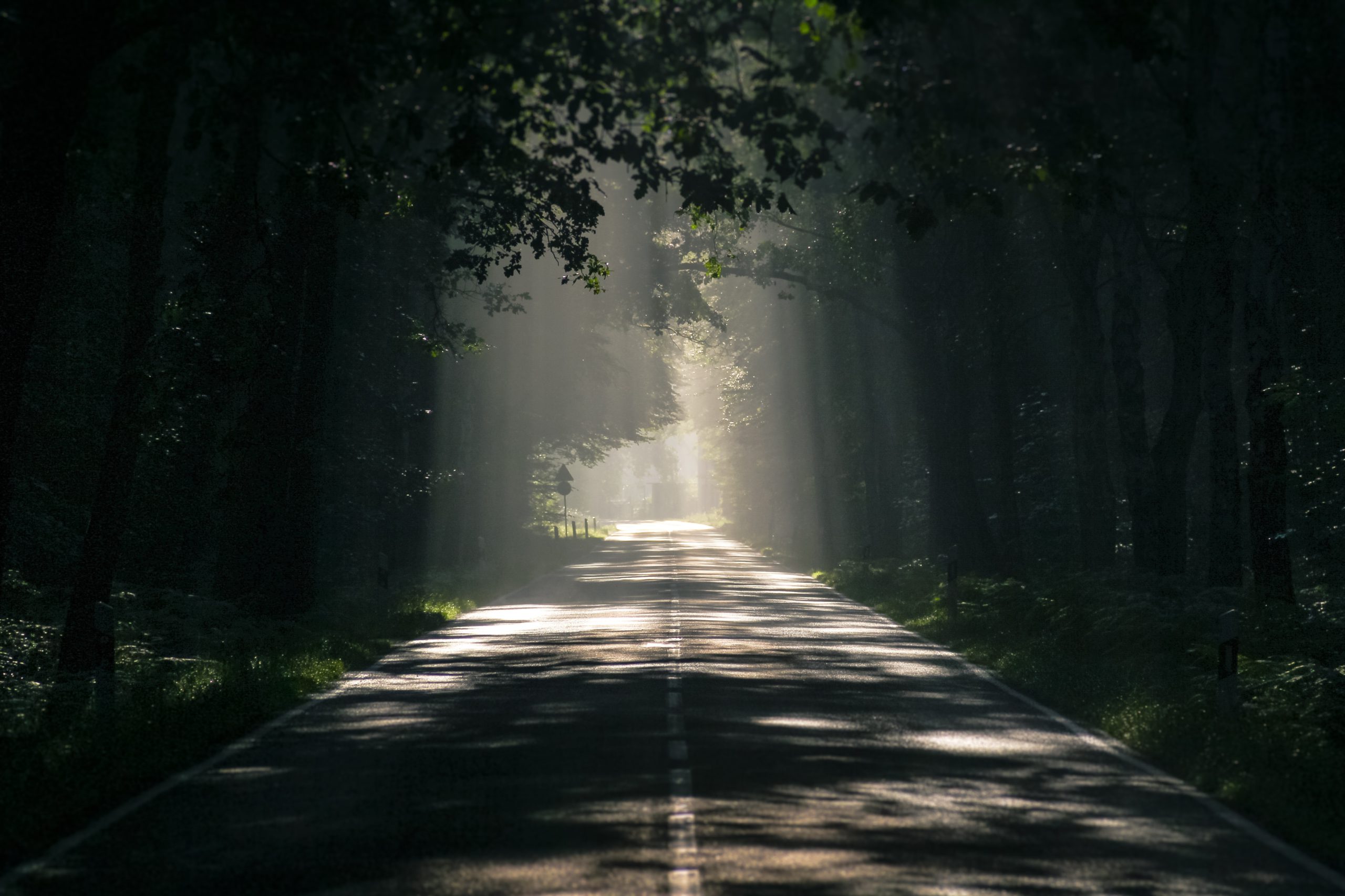 hypnosis practitioner training